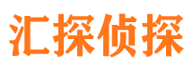 兴海市私家侦探